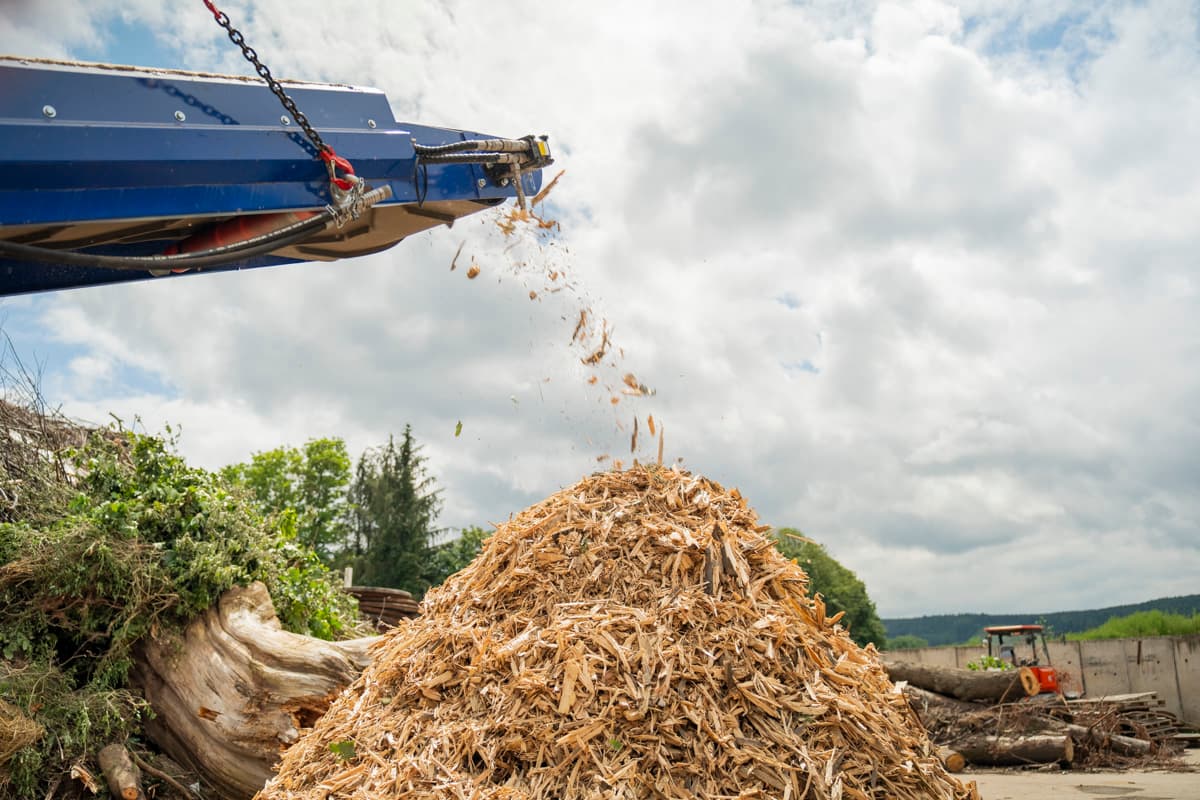 IMPAKTOR 250 EVO II gallery