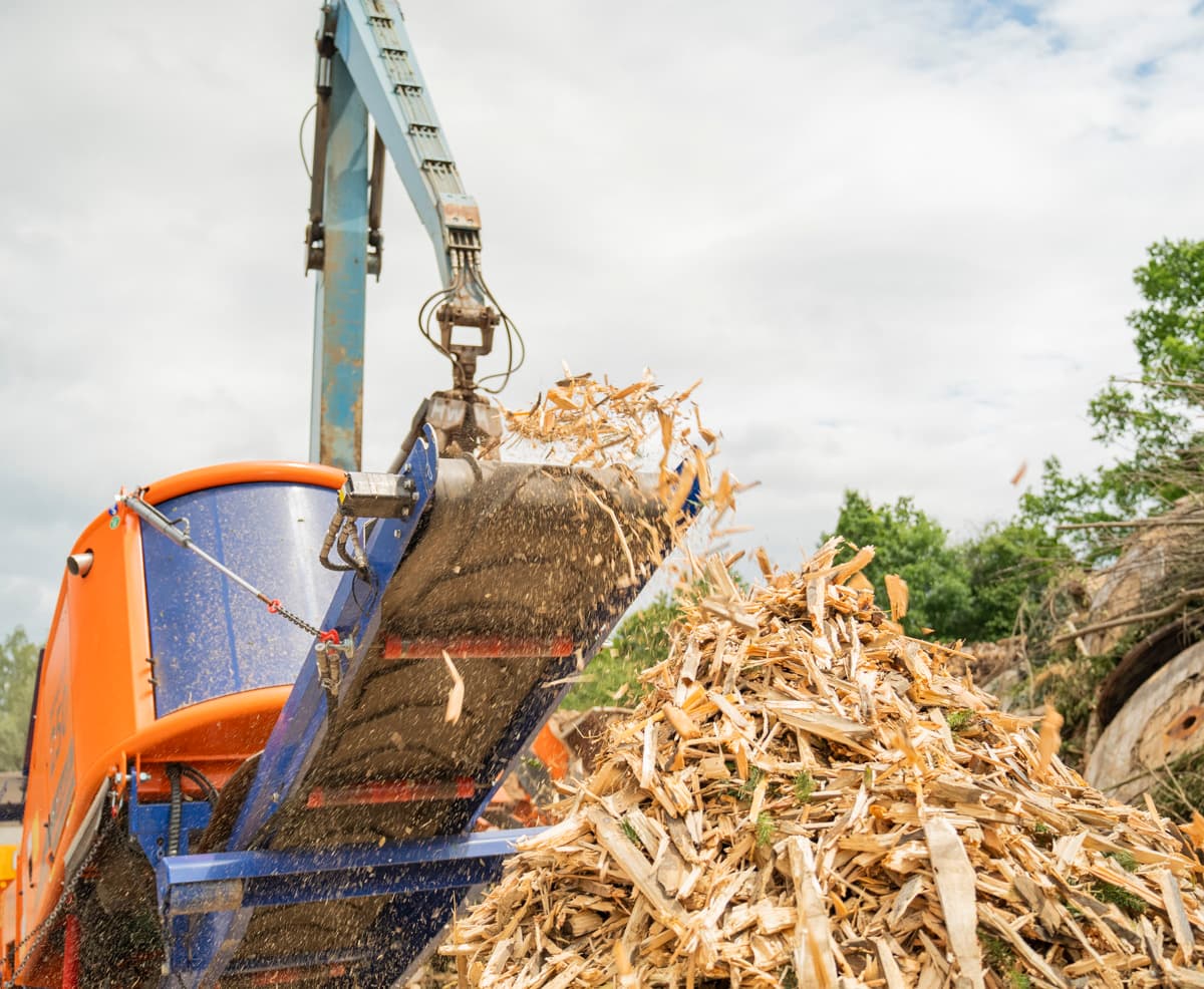 IMPAKTOR 250 EVO II gallery